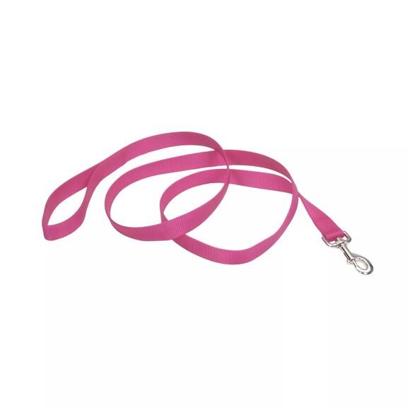 New Coastal Single-Ply Dog Leash in Neon Pink 5/8" x 4 ft. - Picture 1 of 2